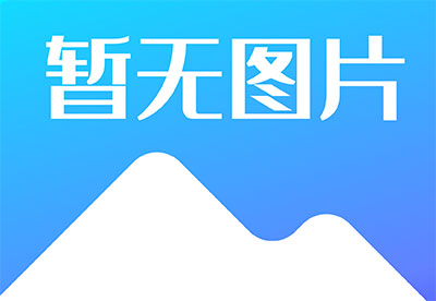 2025年度工程业绩