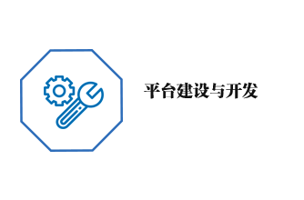 平台建设与开发